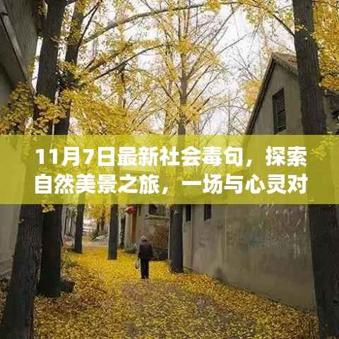 风驰电掣 第11页