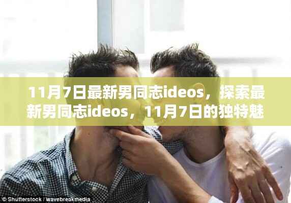 探索最新男同志ideos的独特魅力，11月7日的精选视频分享