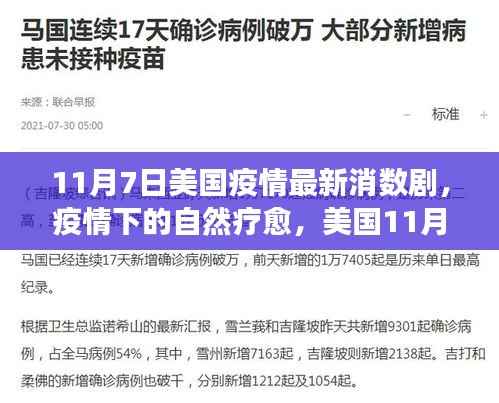 美国疫情最新数据下的自然疗愈与绿色旅行新篇章（11月7日）