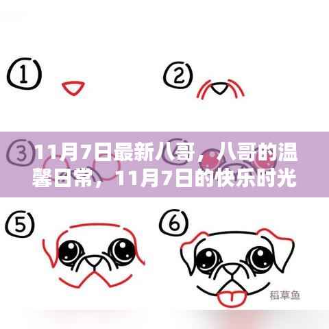 八哥的温馨日常，记录快乐时光，11月7日的快乐八哥纪实