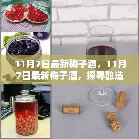 探寻酿造之美,品味独特之韵,最新梅子酒赏析