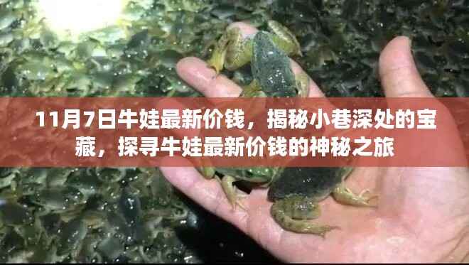 探寻牛娃最新价钱,揭秘小巷深处的宝藏之旅