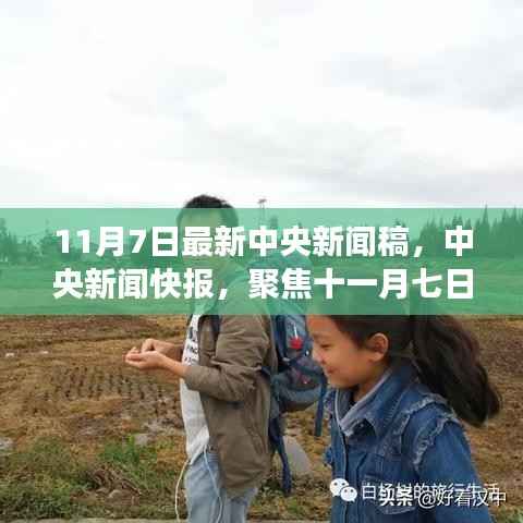 中央新闻快报聚焦,十一月七日政策动向与热点解读