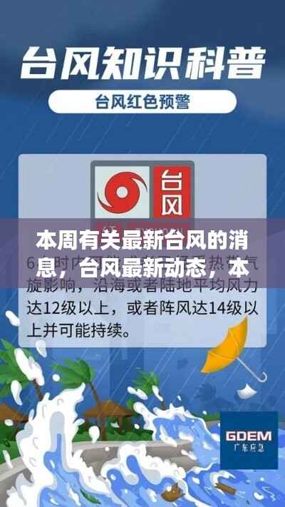 本周台风最新动态,热带风暴席卷影响区域,背景、事件与地位揭秘