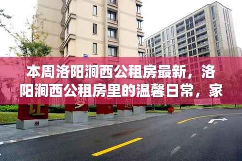 洛阳涧西公租房,家的故事与温馨日常