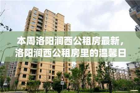 洛阳涧西公租房,家的故事与温馨日常