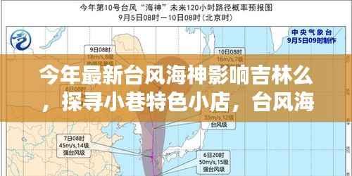 台风海神影响下的吉林,小巷特色小店与独特风情探寻