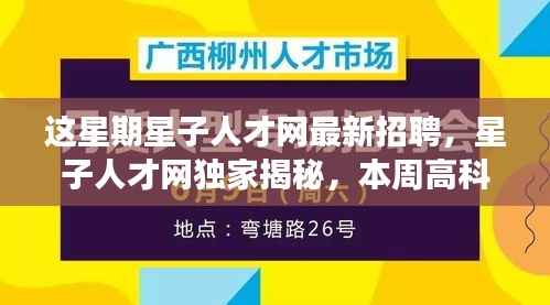 星子人才网独家揭秘，本周高科技产品更新引领未来招聘新潮流，最新招聘信息大放送