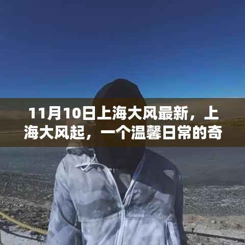 上海大风奇遇记，温馨日常的变幻之旅（11月10日最新）