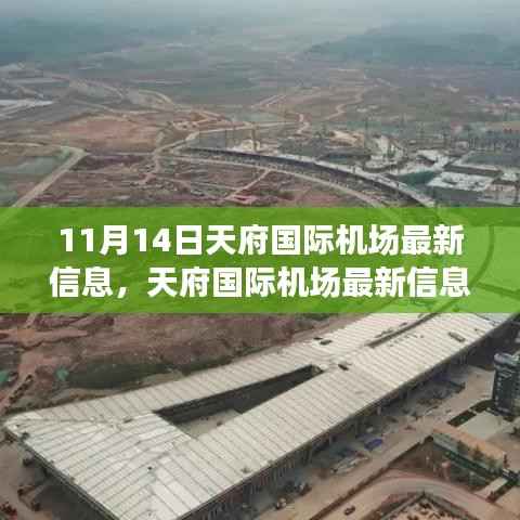 橘虞初梦 第7页