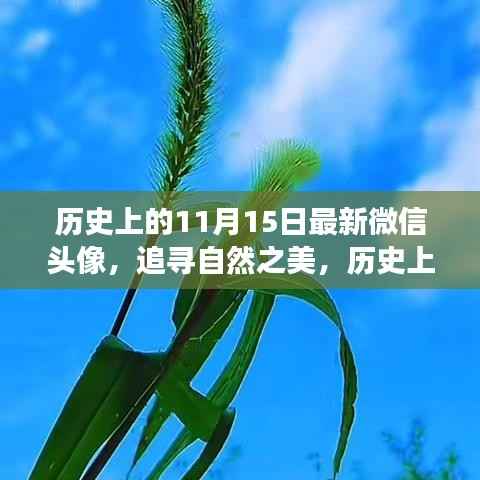张牙舞爪 第7页