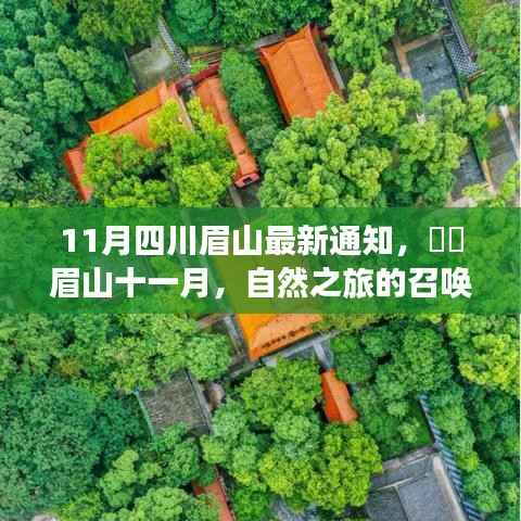 初遇在故事开头 第5页
