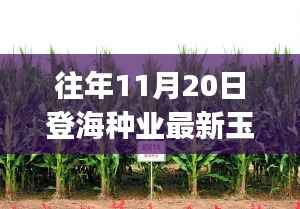 初告白 第7页