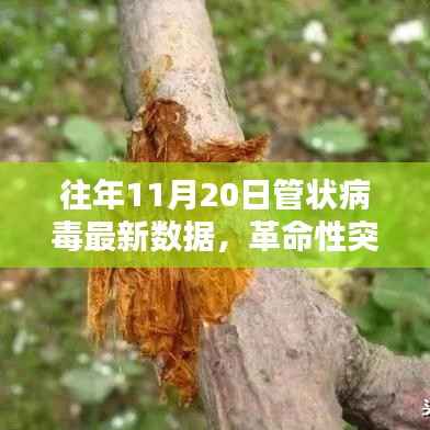 走马观花 第5页