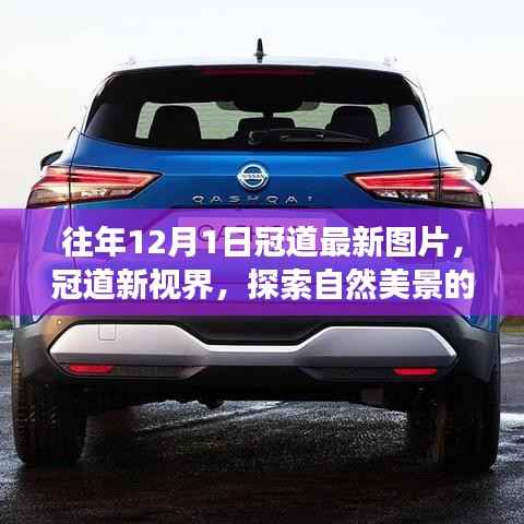森久 第4页