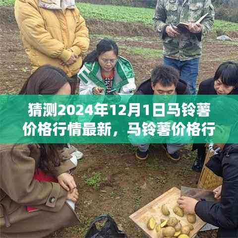 未来马铃薯市场趋势解析，预测马铃薯价格行情及影响因素展望（XXXX年预测报告）
