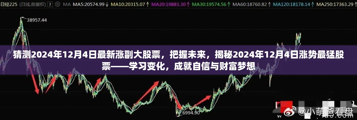 揭秘未来股市风云,把握涨势最猛股票,成就财富梦想(预测2024年12月4日最新涨副大股票)