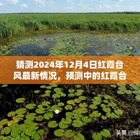 滔滔不绝 第3页