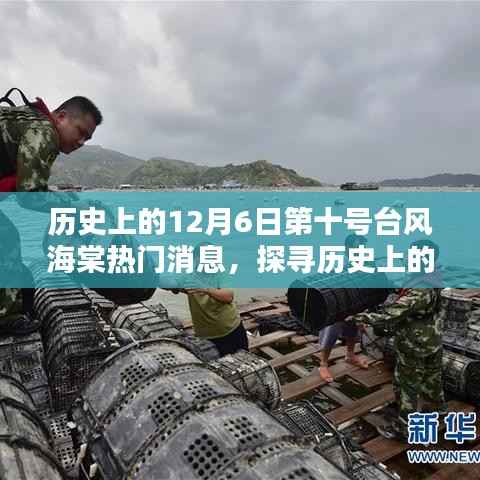 探寻历史上的台风海棠，海棠台风海棠热门消息与应对技能解析