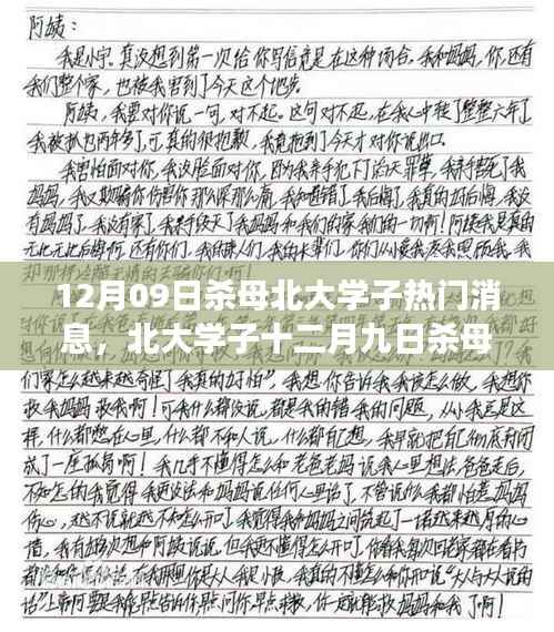 北大学子杀母事件，深度解析与反思