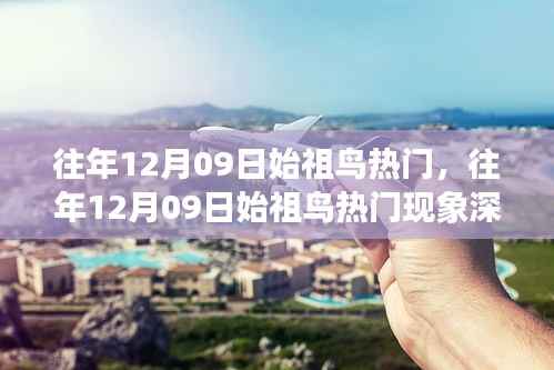 往年12月09日始祖鸟热潮,时尚潮流的深度解析与争议观察