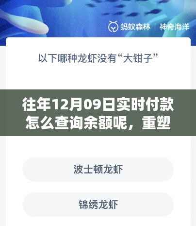 揭秘最新科技重塑支付体验,如何轻松查询十二月九日实时付款余额,未来触手可及!