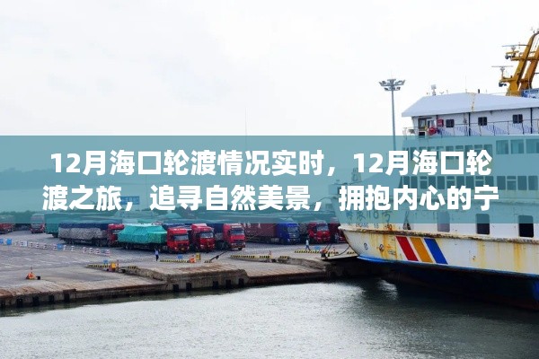 12月海口轮渡之旅,探寻自然美景,感受宁静与喜悦的拥抱