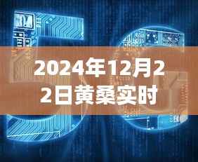黄桑科技发布,2024智能革新先锋——黄桑实时重磅上线