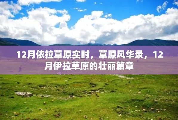 百鸟归巢
