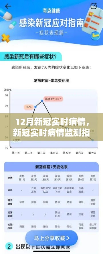 新冠实时病情监测指南,从初学者到进阶用户,全面解析12月疫情状况