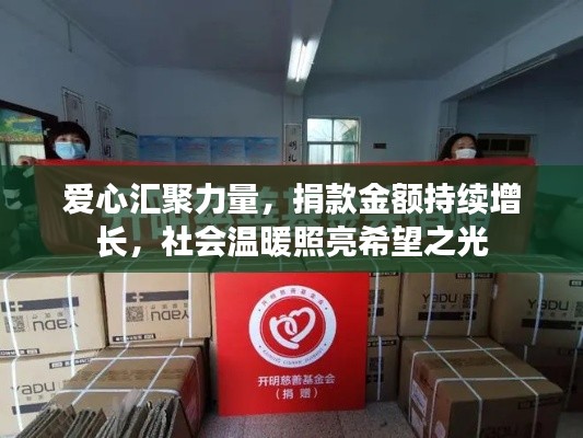 爱心汇聚力量,捐款金额持续增长,社会温暖照亮希望之光