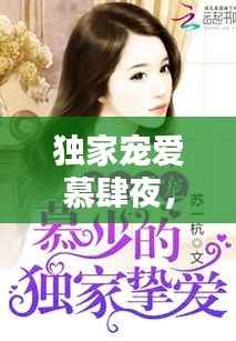 独家宠爱慕肆夜,独家宠爱无防盗章