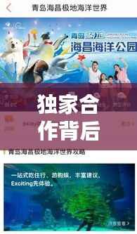 独家合作背后的策略与意义,美团独家签约深度解析