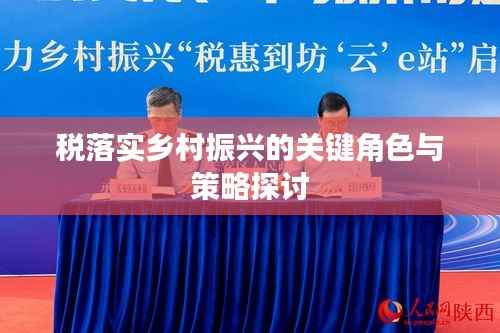 税落实乡村振兴的关键角色与策略探讨
