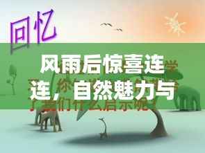风雨后惊喜连连,自然魅力与人生启示探寻