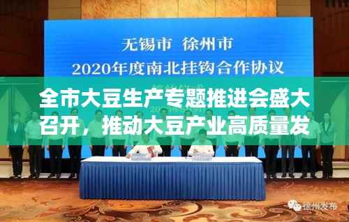 全市大豆生产专题推进会盛大召开,推动大豆产业高质量发展新篇章开启!
