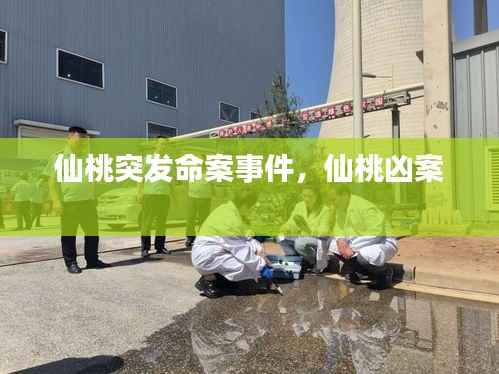 仙桃突发命案事件,仙桃凶案