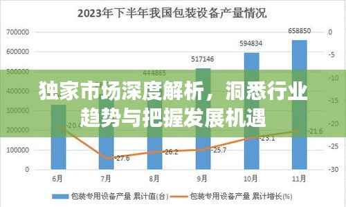 独家市场深度解析，洞悉行业趋势与把握发展机遇