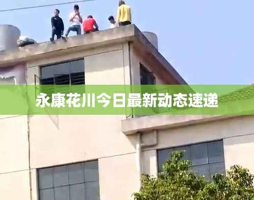永康花川今日最新动态速递