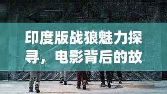 印度版战狼魅力探寻,电影背后的故事与情感深度解读