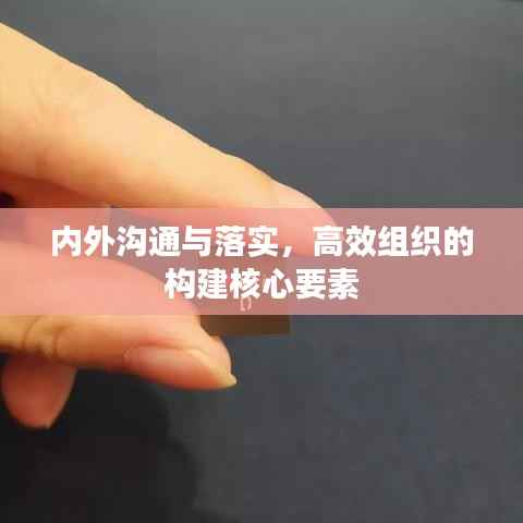 内外沟通与落实,高效组织的构建核心要素