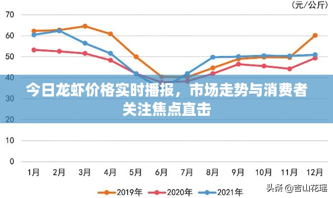 今日龙虾价格实时播报,市场走势与消费者关注焦点直击