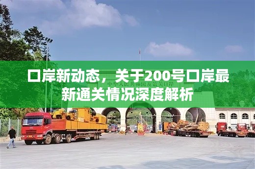 口岸新动态,关于200号口岸最新通关情况深度解析