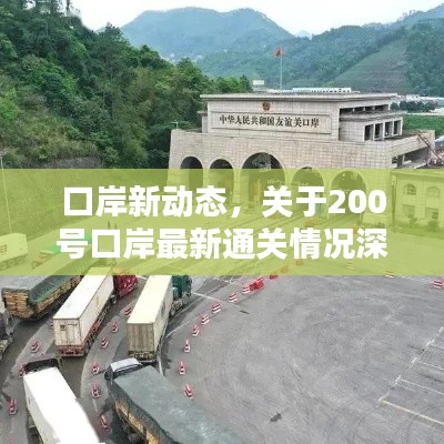 口岸新动态,关于200号口岸最新通关情况深度解析