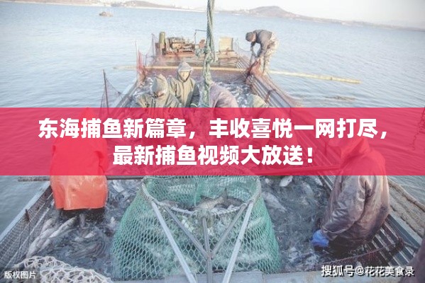 东海捕鱼新篇章,丰收喜悦一网打尽,最新捕鱼视频大放送!