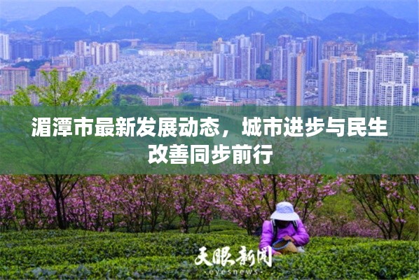 一石二鸟 第2页