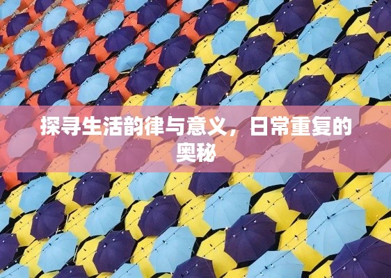 探寻生活韵律与意义,日常重复的奥秘