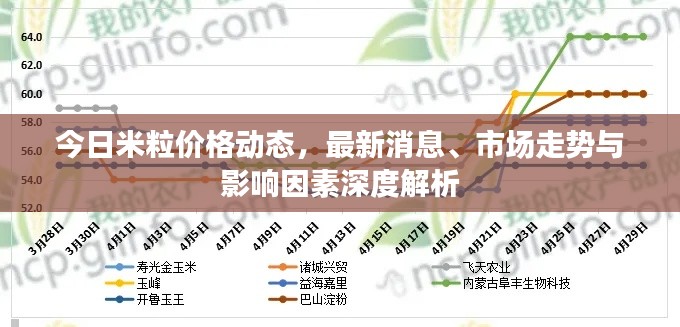 今日米粒价格动态，最新消息、市场走势与影响因素深度解析