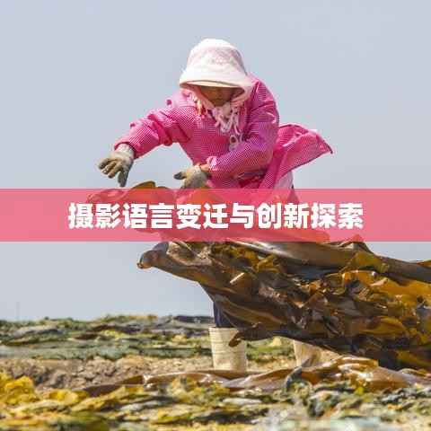 摄影语言变迁与创新探索