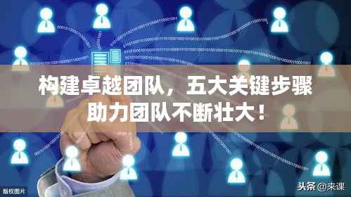 构建卓越团队,五大关键步骤助力团队不断壮大!